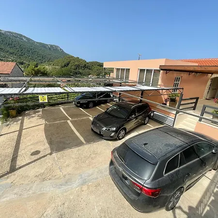 Leko * Žuljana
