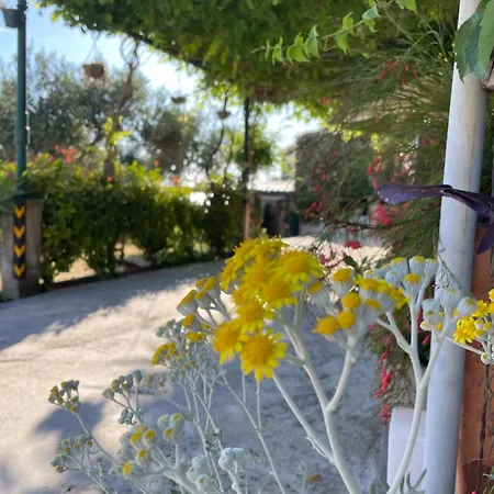 Apartmán Leko Žuljana