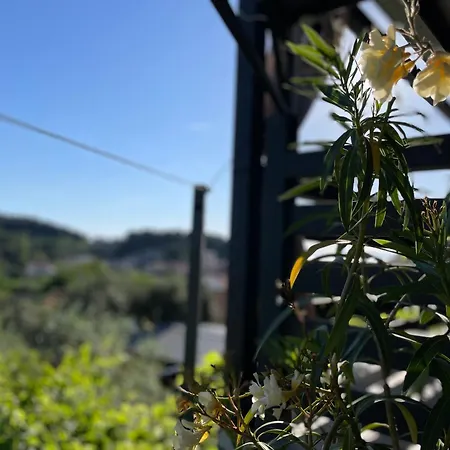Leko Apartamento