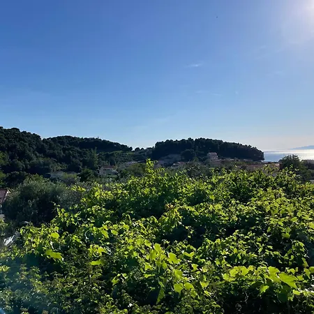 Апартаменты Leko Жуляна