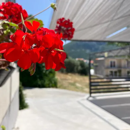 Leko Apartamento *