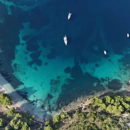 Апартаменты Leko Жуляна