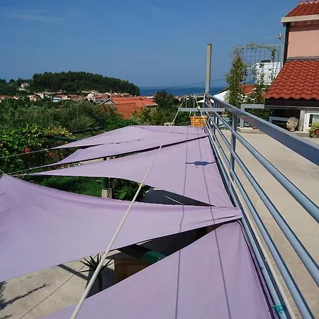 Leko * Žuljana