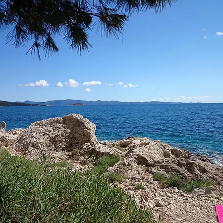 Leko *